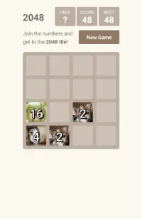2048 Cat Puzzle Brain Games Screen Shot 1