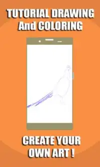 TutorialDrawing: Pheasant Free Drawing & Coloring Screen Shot 1