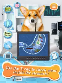 Dog Games: Pet Vet Doctor Care Games for Kids Screen Shot 1