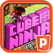 Cube Ninja