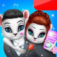 Cuty Kitty Royal Wedding Praparation & Pet DayCare