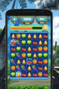 Fruit Link Deluxe - Match 3 Game Screen Shot 3