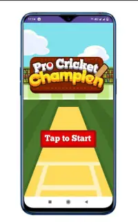 Cricket game Screen Shot 0