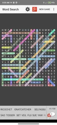 Word Search Puzzle Screen Shot 2