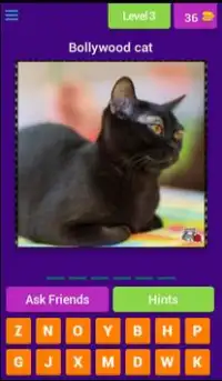 Cat Lovers Guess The Cat Game Screen Shot 4