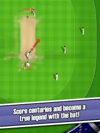 New Star Cricket Screen Shot 7