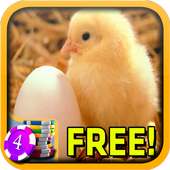 3D Hot Chick Slots - Free
