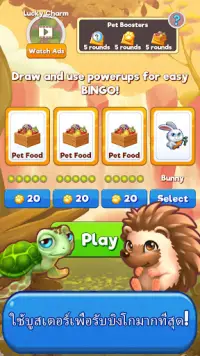 Bingo:  Free the Pets Screen Shot 5