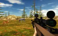 Sniper hunter jungle survival Screen Shot 3