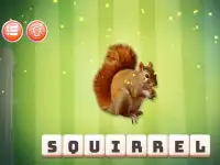 Kids Spelling Trainer Screen Shot 2