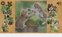 Mèo và Kittens Puzzles Screen Shot 7