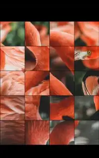 Pink Flamingo Jigsaw Puzzle Game Screen Shot 1