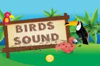 Learn To Speak Birds Names Screen Shot 0