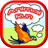 Animal Run: Flapping Frenzy!