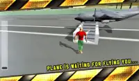 Pilot Airplane Driving Sim 3D Screen Shot 16