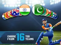 Cricket T20 2017-Multiplayer Game Screen Shot 9