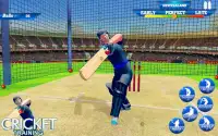 टी -20 क्रिकेट प्रशिक्षण : जाल अभ्यास क्रिकेट खेल Screen Shot 6