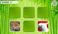 Animal Games for Kids Screen Shot 3