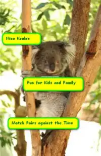 Free Fun Koala Game for Kids Screen Shot 0