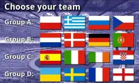 EURO 2012 Football/Soccer Game Screen Shot 0