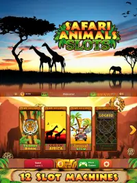 Safari Animals Slots Free Screen Shot 5