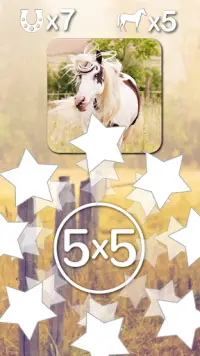 Horse Puzzles Collection Screen Shot 3