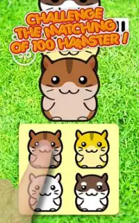 Hamster 100 My Cute Shrug Pets Screen Shot 4