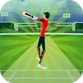Cricket Mini Simulator