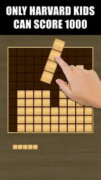Wooden Block Puzzle Screen Shot 0