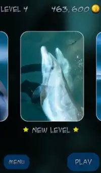 Mahjong oculto: Dolphin Dreamz Screen Shot 2