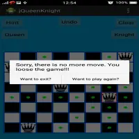 Chess Queen and Knight Problem Screen Shot 1