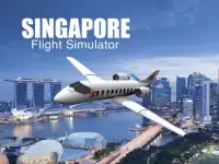 Singapore Flight Simulator Screen Shot 4