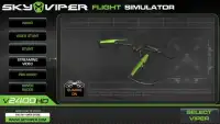 Sky Viper Flight Simulator Screen Shot 0