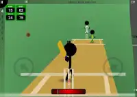 Smash and Slog Cricket Screen Shot 6