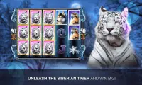 Slots Super Tiger Casino Slots Screen Shot 1