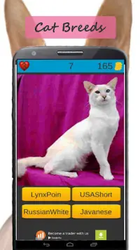 Kedi ırkları oyunu Screen Shot 2
