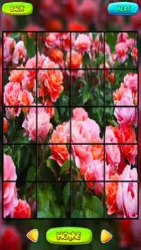 Rosas del jardín Puzzle Juegos Screen Shot 1