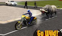 Angry Buffalo Attack 3D Screen Shot 8