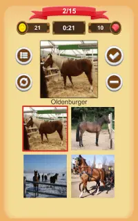 Paarden - Quiz Screen Shot 9