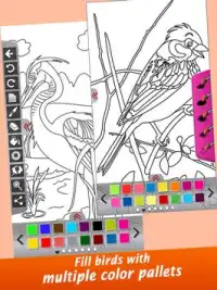 Super Birds Kids Coloring Game Screen Shot 6