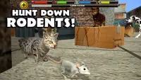 Stray Cat Simulator Screen Shot 7