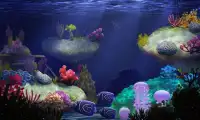 Mon poisson 3D (aquarium 3D) Screen Shot 5