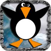 Pinguim louco 2