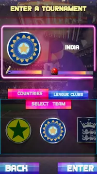 Fun Cricket 2019 Screen Shot 1