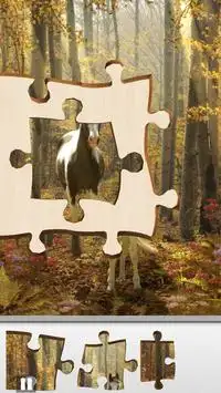 Hidden Jigsaws: Autumn Harvest Screen Shot 4