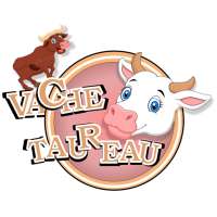 Vache_Taureau