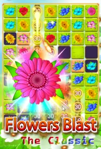 Flower Blast The Classic! Screen Shot 3