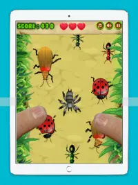 Ant Insect Smasher Screen Shot 9