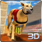 Crazy Dog Surfer - Ejecutar