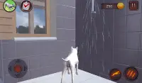 Bull Terier Dog Simulator Screen Shot 8